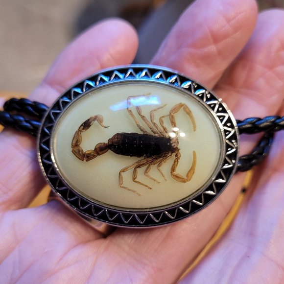 Bolo Tie - Picture 3 of 13